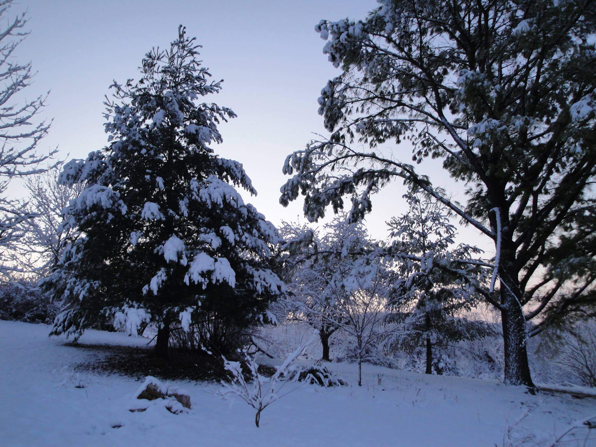 winter at Blue River Valley Farm